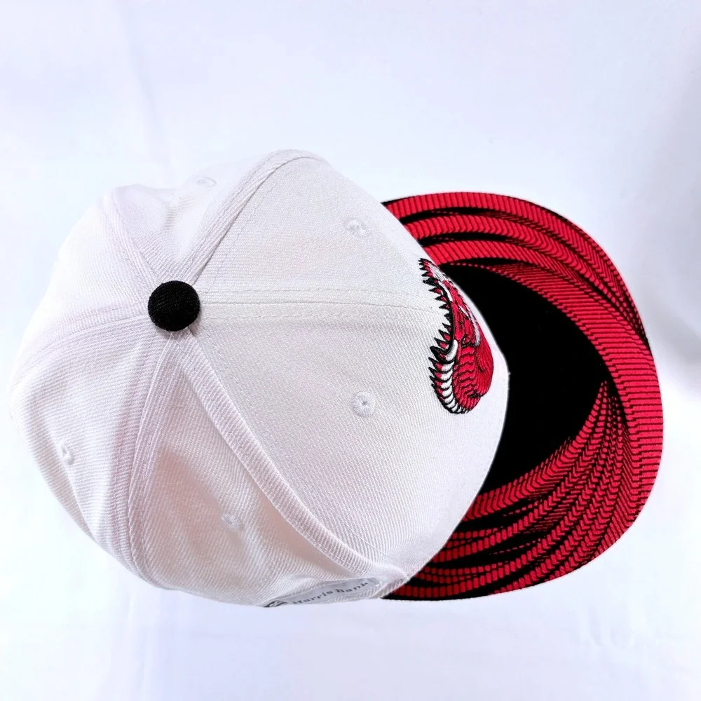 Melonwear NBA Chicago Bulls BMO Harris Artist Series Chuck Anderson Snapback Hat